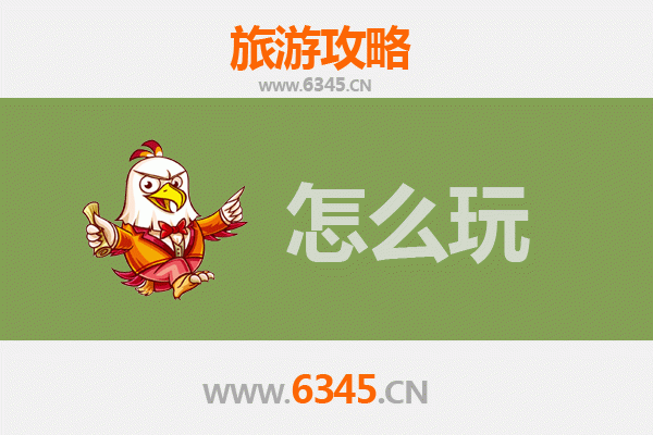 节假日乐陵游玩全攻略：金丝小枣之乡的深度体验